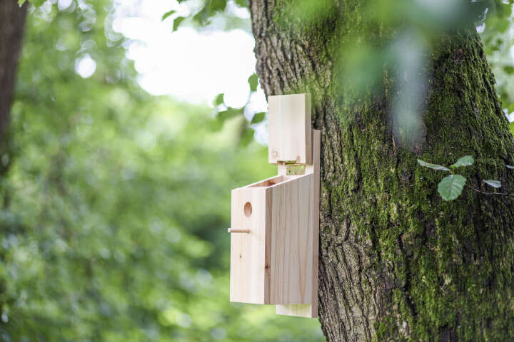 KERBL Nistkasten Selbstbauset